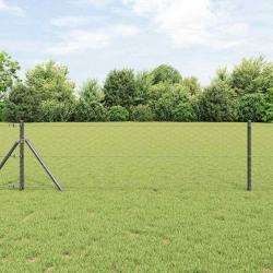 Clôture Hexagonale Grise 0.6x10 m Acier