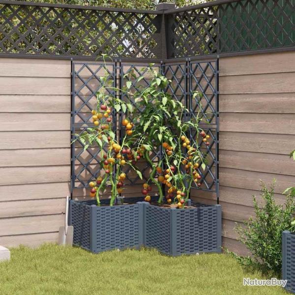 Jardinire avec treillis 3 pcs Gris clair 80x80x143 cm
