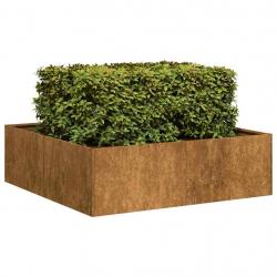 Jardinière rouillé 100x100x30 cm acier inoxydable