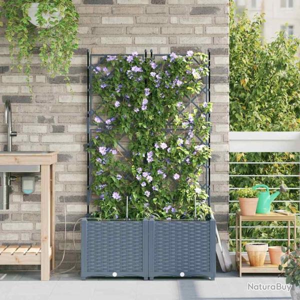 Jardinires de jardin 1 pc Treillis Gris clair 80 x 40 x 142 cm