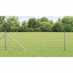 Clôture Euro avec 13 poteaux pointus, 0,8 x 25 m, en acier galvanisé