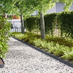 Bordures de pelouse 50 pcs Anthracite 100x0,5x15 cm