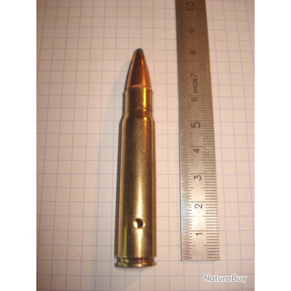 une cartouche de 376 Steyr de marque Hornady, neutralise pour collection