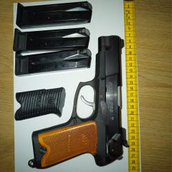 Ruger P89 avec trois chargeurs