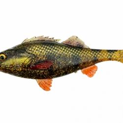 Leurre Souple Savage Gear 4D Perch Shad 20cm motoroil