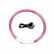 petites annonces chasse pêche : ENCHÈRE 1 ! COLLIER IMPERMÉABLE LUMINEUX RÉGLABLE ROSE