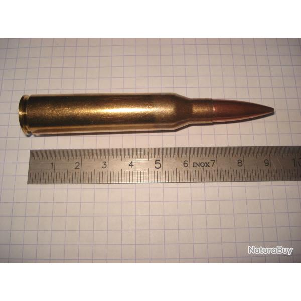 une cartouche de 338 lapua magnum de marque PPU, ogive blinde, pour collection