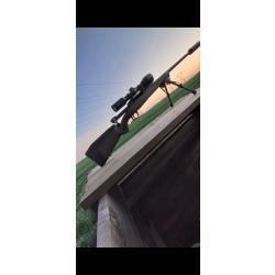 Carabine lineaire savage impulse hog hunter cal 300