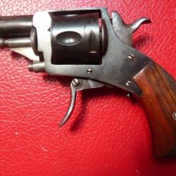 Revolver Bulldog 8 mm calibre .320