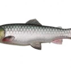 Leurre Souple Savage Gear 3D Craft Trout Pulsetail 16cm Green shiner yellow dot