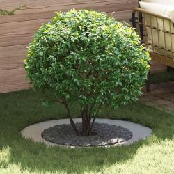 Pot en métal galvanisé Galvanisé Métal Grand Durable