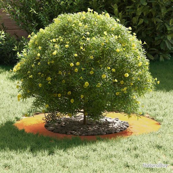 Bac  fleurs en acier corten Acier corten Moyen