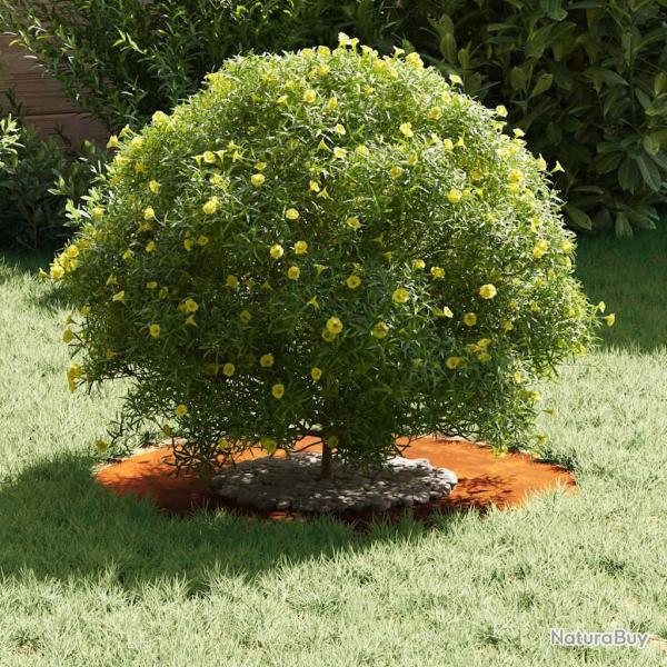 Pot en Acier Corten Acier corten Grand Incrustations Dcoratives