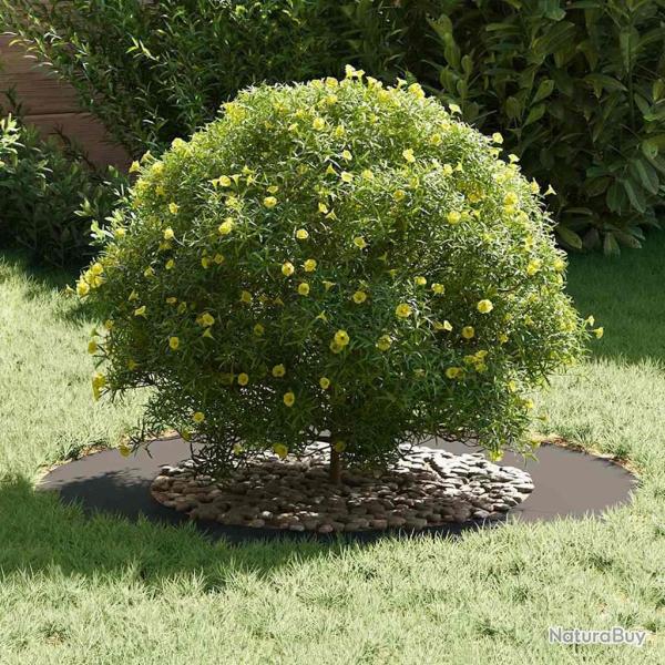 Pot en plastique Noir Plastique Grand Dcorations Grand pot