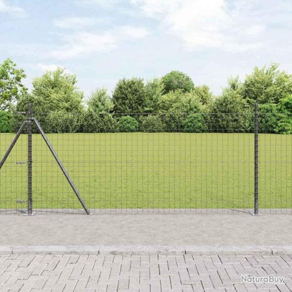 Clture Euro avec 13 poteaux  bride 1 x 25 m en acier galvanis.