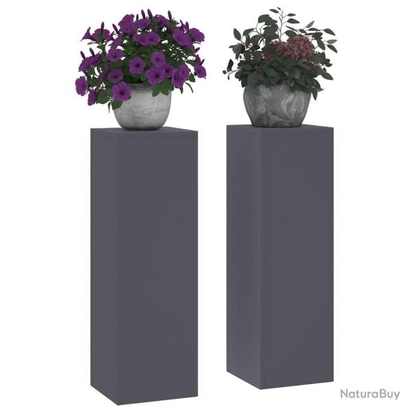 Supports de Plantes Extrieurs Pillar 2 pcs Anthracite 24x24x75 cm Acier