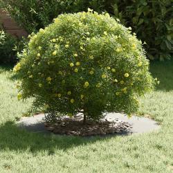 Pot en métal galvanisé Galvanisé Fer galvanisé Grand Durable
