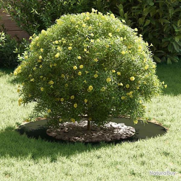 Pot de fleur vert olive Vert olive Cramique Grand