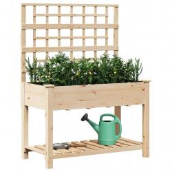 Jardinière avec treillis et étagère 115x59x152 cm en bois massif de sapin