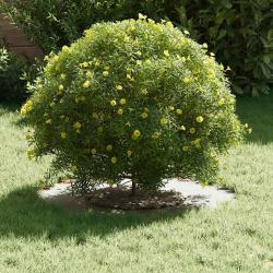 Pot de fleurs en céramique Blanc Céramique Grand Rond Moderne