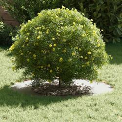 Cache-pot en céramique Blanc Céramique Grand