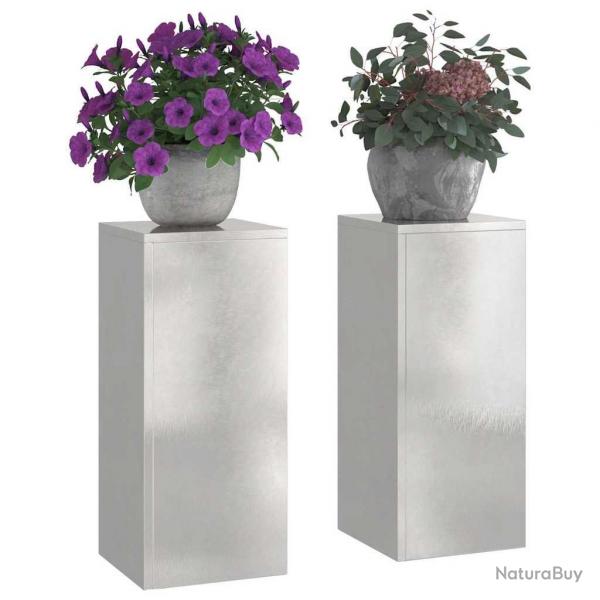 Supports de Plantes d'Extrieur Pilier 2 pcs 24x24x55 cm Acier Inoxydable