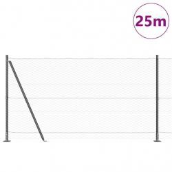 Ensemble de Clôture Ensemble de 2 Gris Métal 25 x 1,2 m Durable