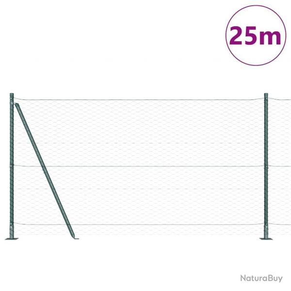 Ensemble de Clture 2 pices Vert Acier 25 x 1.2 m Durable