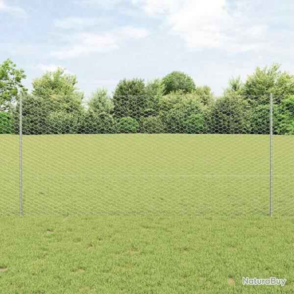 Set de Clture de Jardin Ensemble de 2 Acier galvanis 25 x 1,2 m