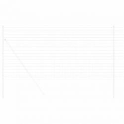 Euro Fence 1x25 m Acier galvanisé