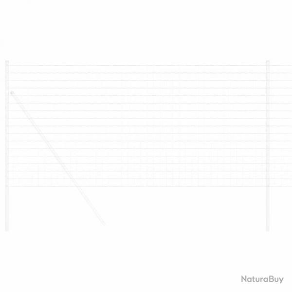 Euro Fence 1x25 m Acier galvanis