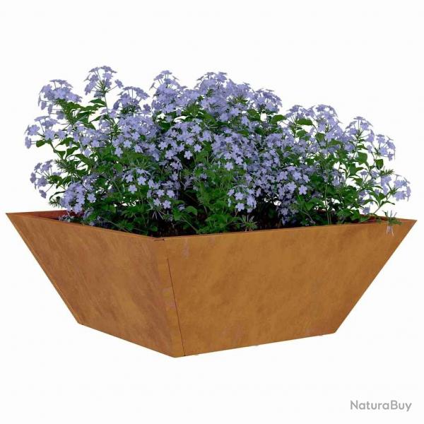 Bol de Jardin 40x40x15 cm en Acier Corten