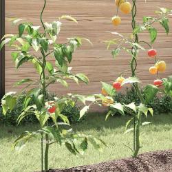 Supports de plantes en spirale 5 pcs 110 cm Acier