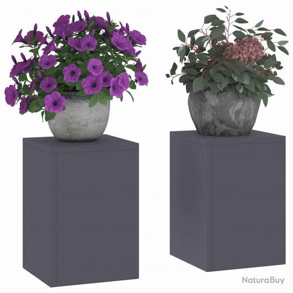 Supports de Plantes d'Extrieur Pillar 2 pcs Anthracite 24x24x35 cm Acier