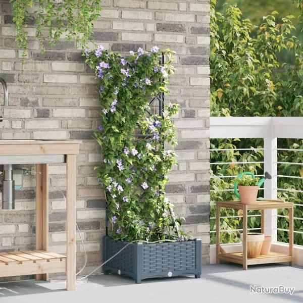 Jardinires de jardin 1 pc Treillis Gris clair 40 x 40 x 126 cm