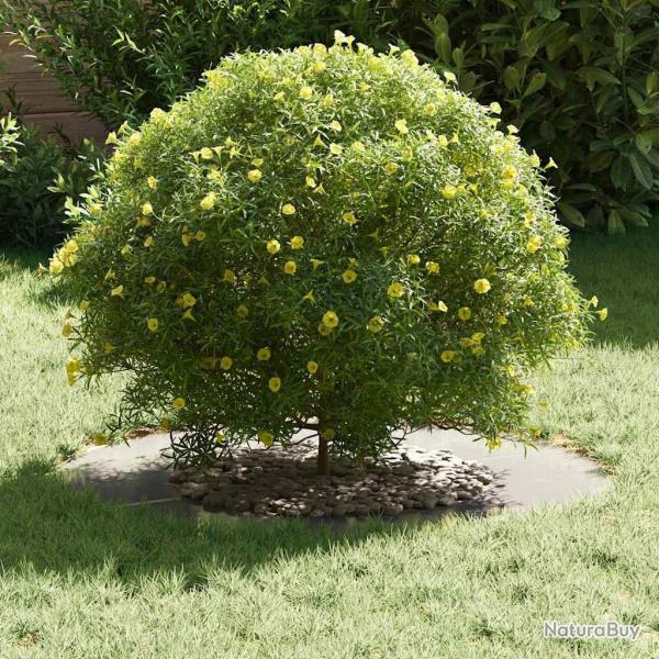 Cercle de Jardin Acier inoxydable Grand Rsistant Circulaire