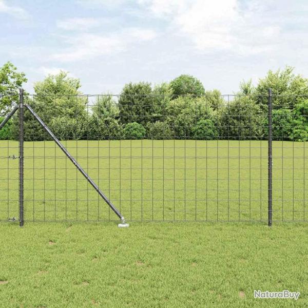 Clture Euro avec 13 poteaux en pointe 1,2 x 25 m en acier galvanis gris