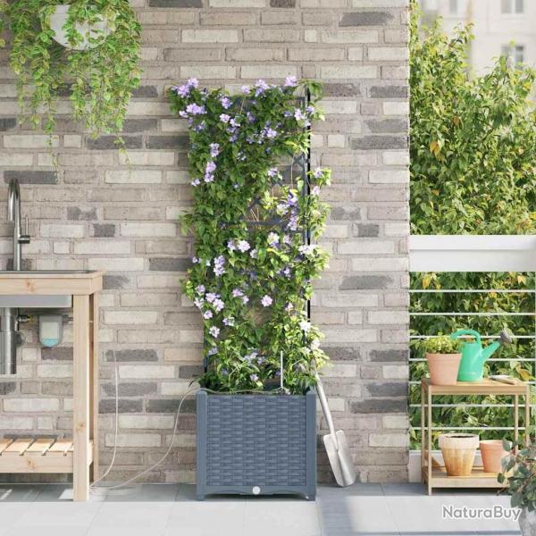 Jardinires de jardin 1 pc Treillis Gris clair 40 x 40 x 142 cm