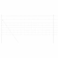 Cl&ocirc;ture de champ 0.8x50 m Acier galvanis&eacute;