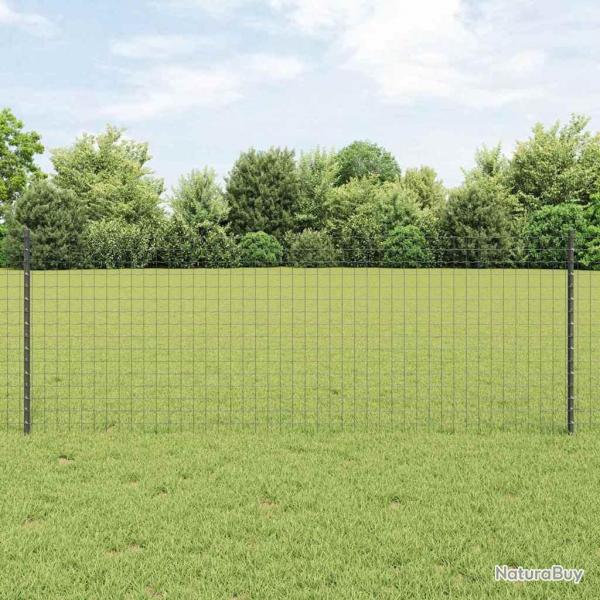 Clture Euro avec 5 poteaux gris 0,8x10 m en acier