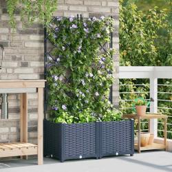 Jardinière avec Treille 2 pcs Grise 80x40x143 cm
