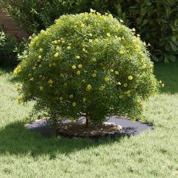 Pot en résine Anthracite Résine Moyen Jardinières