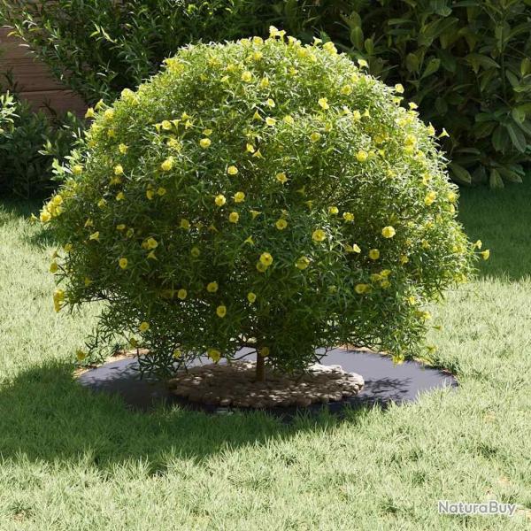 Pot en rsine Anthracite Rsine Moyen Jardinires