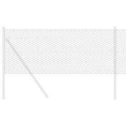 Clôture Hexagonale Grise Gris 0.5 x 10 m Acier