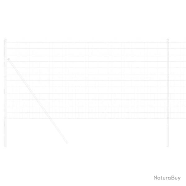 Euro Fence 1x10 m Acier Galvanis