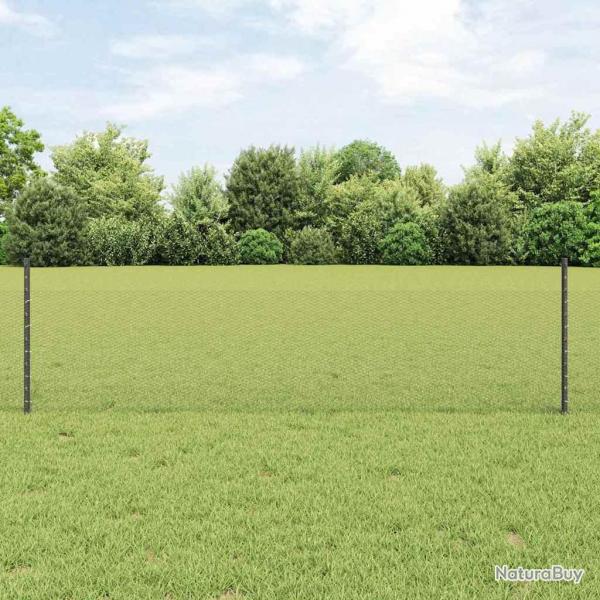 Set de clture de jardin Pack de 2 Gris Treillis en acier