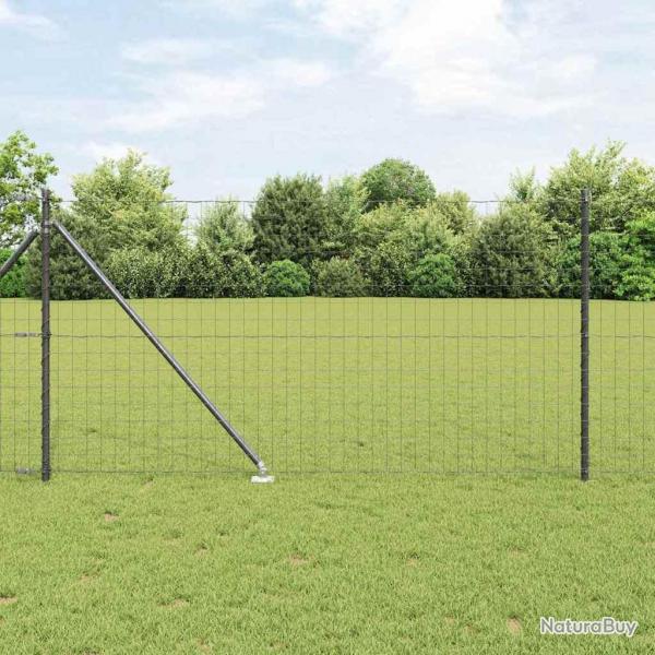 Clture Euro avec 13 poteaux en fer  pointe de 1x25 m en acier galvanis gris