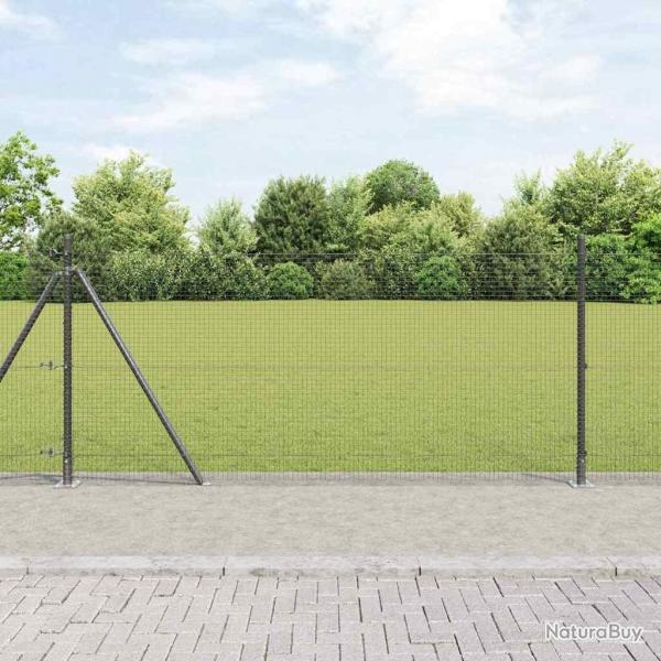 Clture en fil soud avec 13 poteaux  flange Gris 0.8x50 m Acier