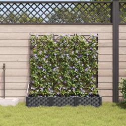 Jardinière avec Treillis 3 pcs Noir 120x40x125.5 cm