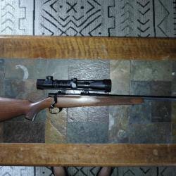 Carabine RWS MOD 89 243 win